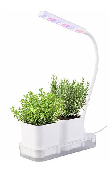 Mini Gewächshaus - LED Bild 2