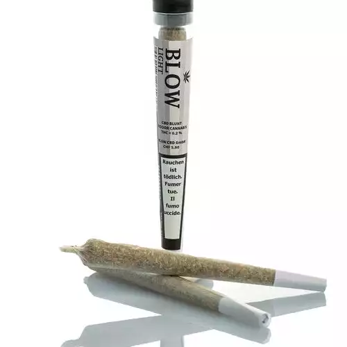 Blow - Joint Next Generation - SILVER HAZE - Box - 20 Stück Bild 2