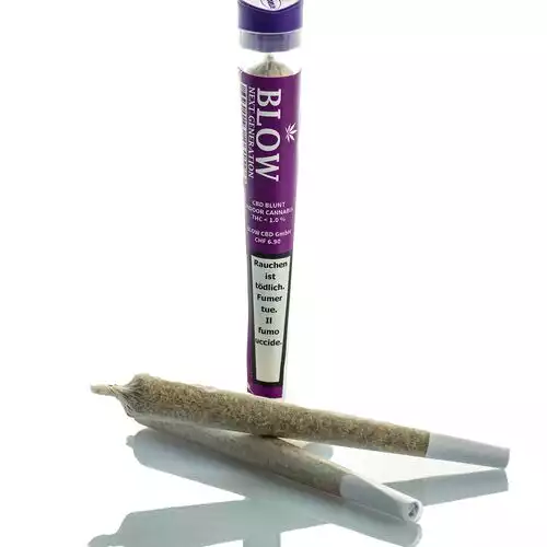 Blow - Joint Next Generation - LIMONCELLO - Box - 20 Stück