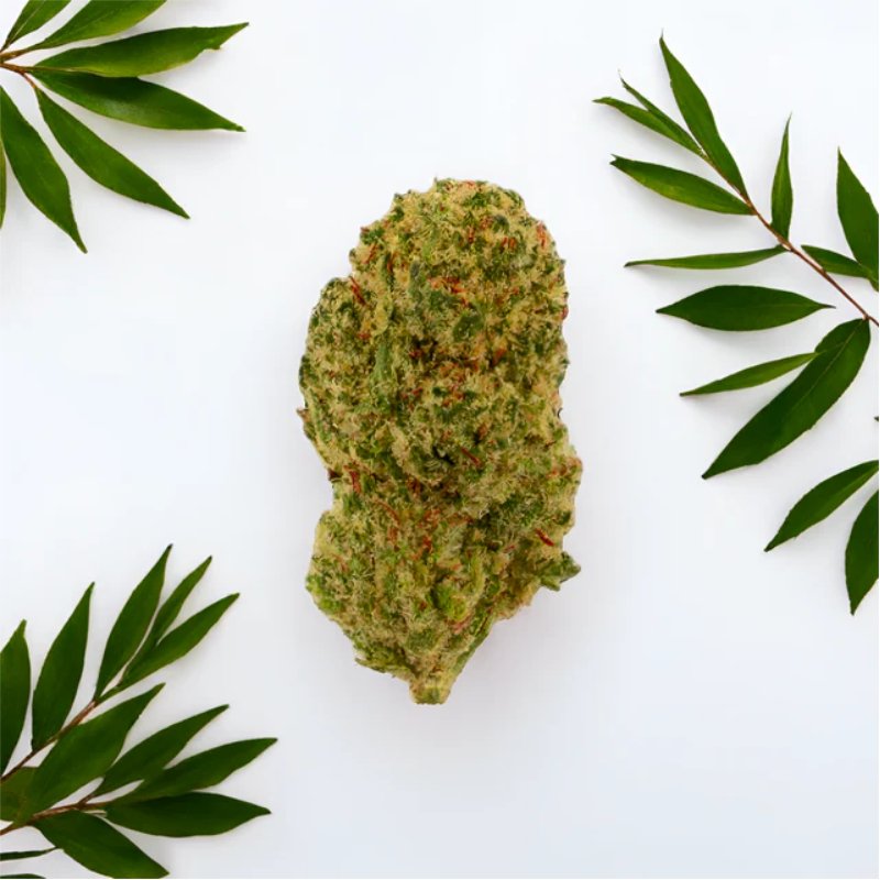 Green Passion - Maui Wowy Popcorn (CHF 25.00/10g) Bild 2