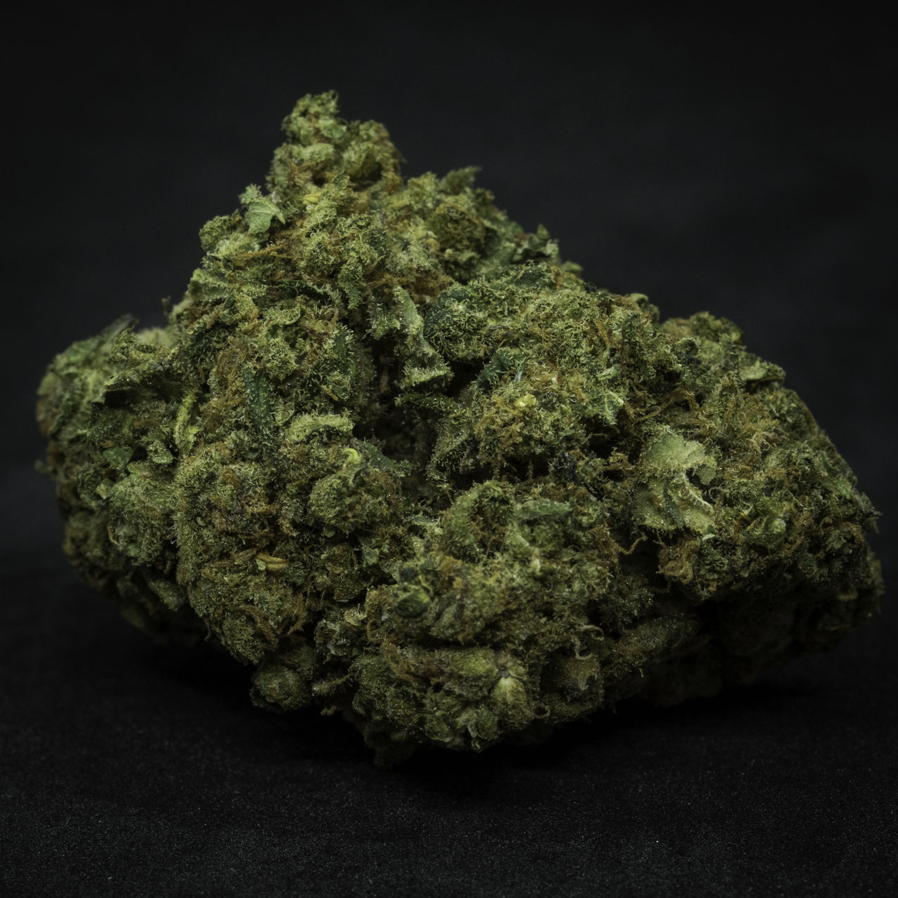 Zauber Blüten - Basilia Suavis (CHF 18.00/2g) Bild 3