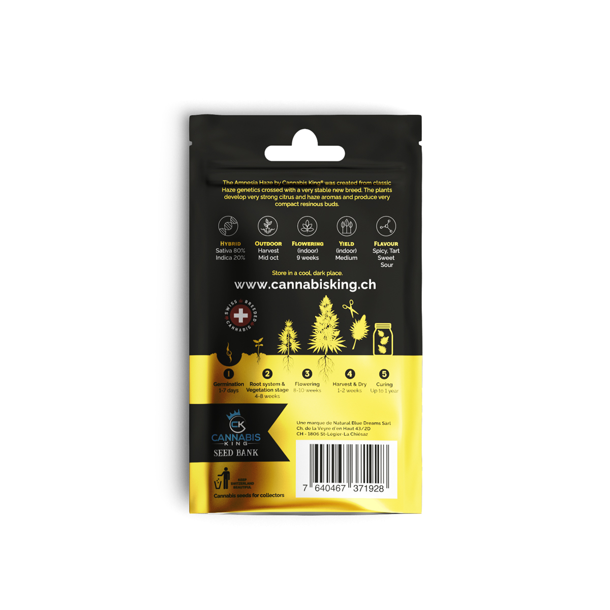 CK Seed Bank Premium Genetic - Amnesia Haze - feminisierte CBD Samen - 3 Stück Bild 3