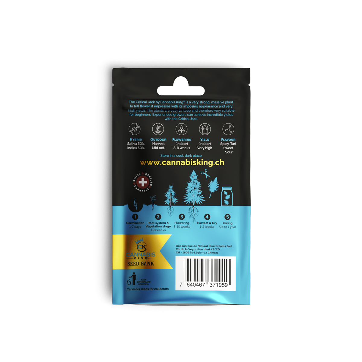 CK Seed Bank - Critical Jack - feminisierte CBD Samen - 3 Stück Bild 3