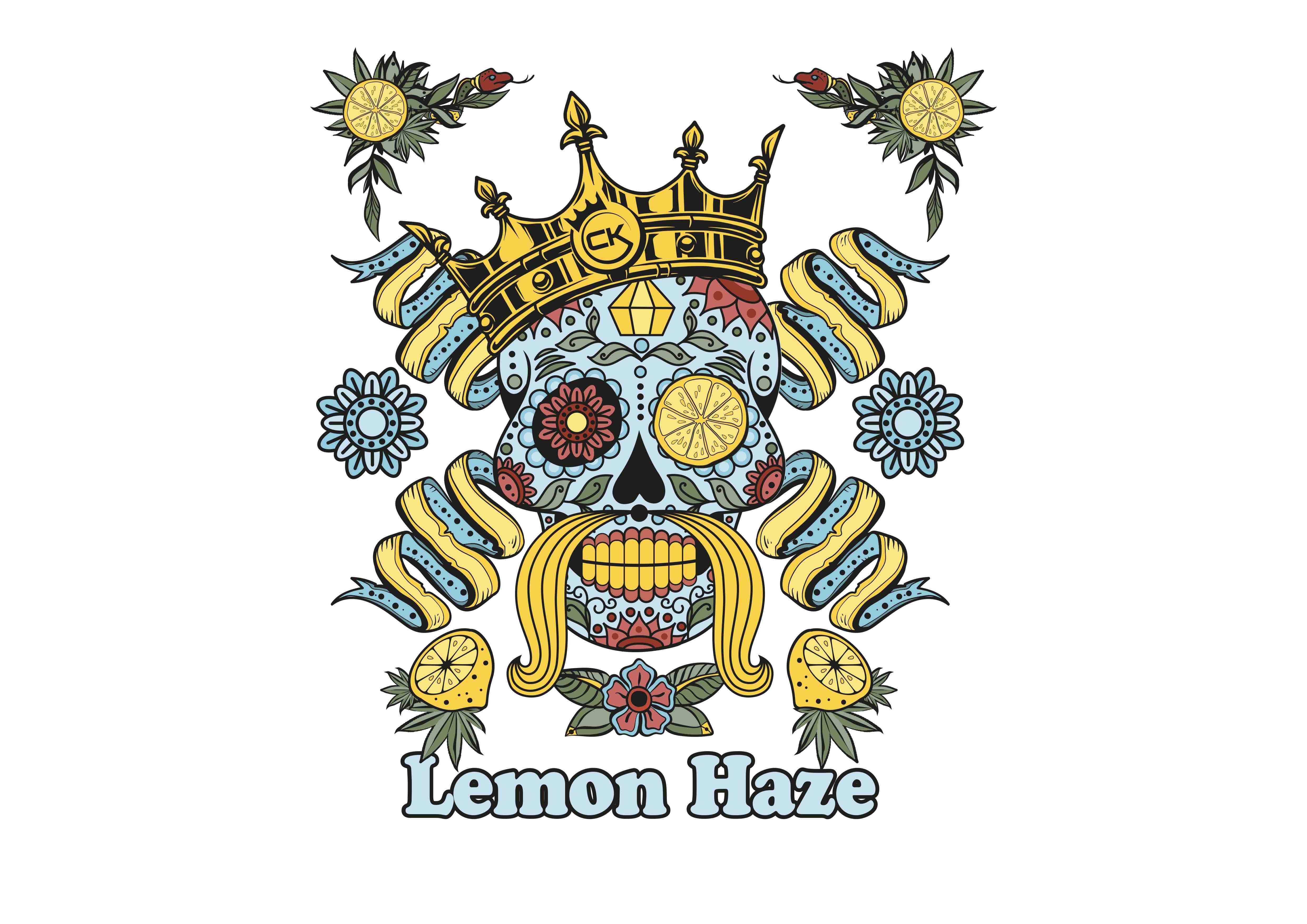 Cannabis King - Lemon Haze Indoor CBD Pinch - 18g Bild 3